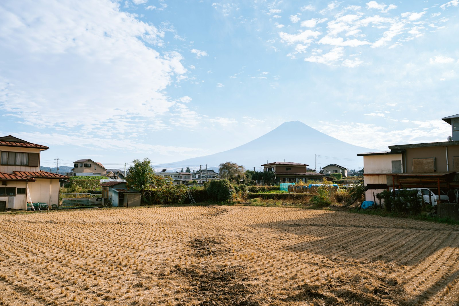 富士山を望む田園風景